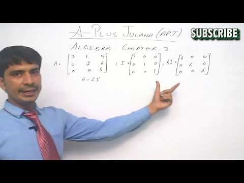 CHARACTERISTIC ROOT AND VECTOR OF A MATRIX B sc 1st ALGEBRA CHAPTER 3 EXERCISE 3 1 BY MSBS