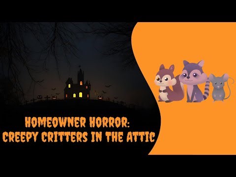 Homeowner Horror: Creepy Critters In The Attic Destroying Your HVAC System