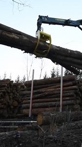 23K views · 1.9K reactions | The power of this Scania R 770 XT V8 makes it perfect for heavy timber transports. #scania | Scania Group | Facebook