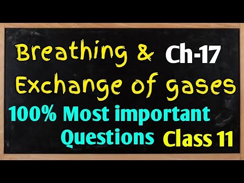 Breathing and exchange of gases Biology Class 11 Chapter 17! Most important Questions! CBSE ICSE KVS