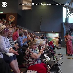11K views · 178 reactions | SEAL THE DEAL: This woman was asked to participate in a sea lion training demonstration at an Australian aquarium — and got a life-changing surprise instead. | CBS News | Facebook