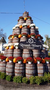 15 reactions | Autumn magic at Renault Winery  #RenaultWinery #RenaultWineryResort #RenaultWineryNJ #NJWinery #FallVibes #AutumnAesthetic | Renault Winery & Resort | Facebook