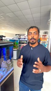 2.2K views · 2.1K reactions | Marine Setup with Sea Anemones  | Royal Aquarium & Pet Accessories | Facebook