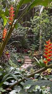 26K views · 357 reactions | Step into a botanical paradise unlike any other, filled with exotic plants and hidden surprises waiting to be discovered. You’ll venture through winding pathways surrounded by vibrant blooms in this wonderland that’s a feast for your senses. : Hunte's Gardens : @arii.iisssssss, thanks for sharing! #VisitBarbados #LoveBarbados #MyBarbados #FeelsLikeSummer | Visit Barbados | Facebook