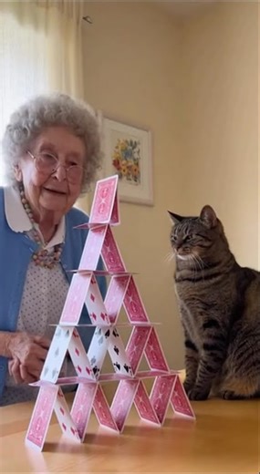 Built for Hours. Destroyed by One Paw 😼🃏