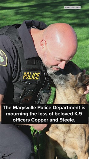 Marysville mourns the loss of beloved K-9 Officers Copper and Steele