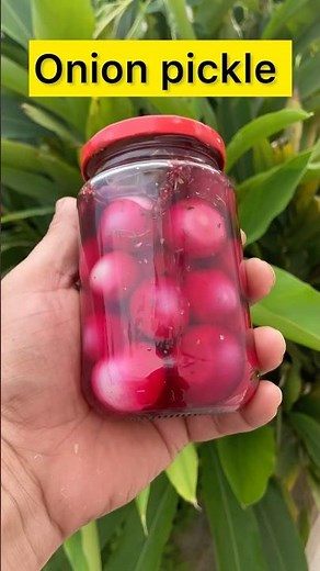 Onion pickle | TASTY Onion Pickle Recipe You NEED to Try!#cooking #pickle #shorts #flavoredpickles