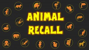 Animal Recall (Memory game) - Power Point Games