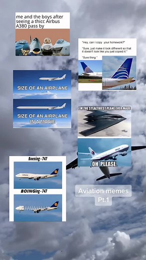 Aviation Memes Pt.1 - Funny Plane Movie Memes