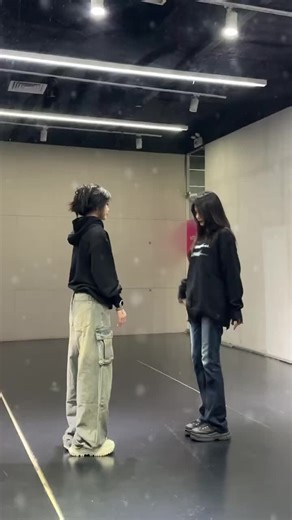 K-Pop Dance Fans sur TikTok