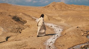 Jesus In Wilderness - Els Stock Footage SBV-328346047 - Storyblocks