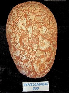 Egg paleopathology - Alchetron, The Free Social Encyclopedia