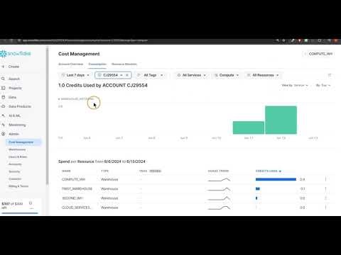 Monitoring Usage in Snowflake class 16