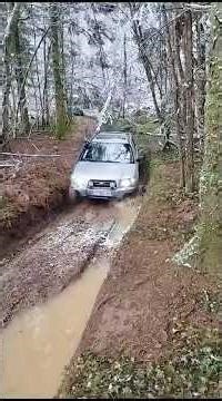 Subaru forester offroad forest #4x4 #automobile #offroadoverland #offroad #subaru