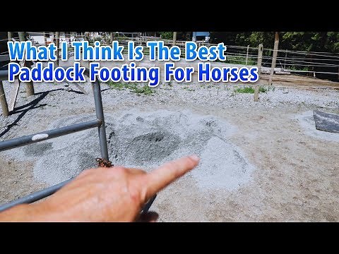 What I think Is The Best Paddock Footing For Horses