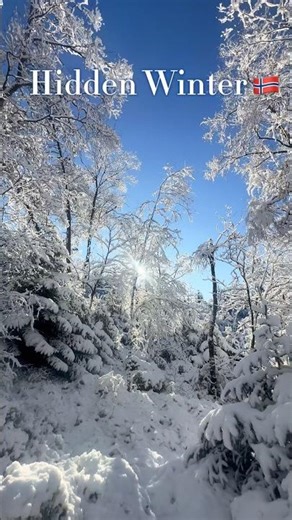 Hidden Winter in Norway ❄️ | Pure Nordic Calm