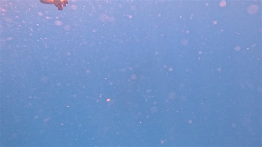 Eiji Teramoto on Reels