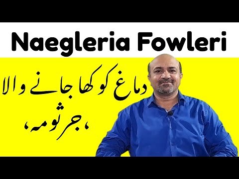 What Is Naegleria Fowleri | Symptoms, Diagnosis, Prevention & Treatment Of Naegleria Fowleri | afzal