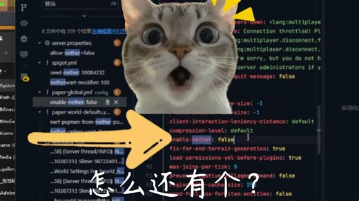 Paper 服务端这是什么抽象操作？！关了下界还在加载，双重态配置看傻我