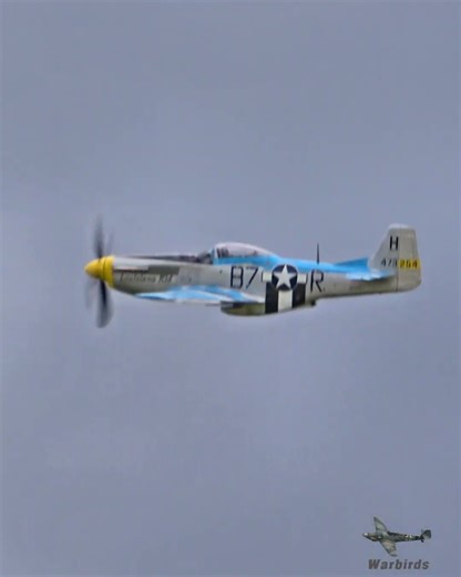 P-51D Mustang “Louisiana Kid” – High-Speed Low Pass at EDSA! 🔥✈️