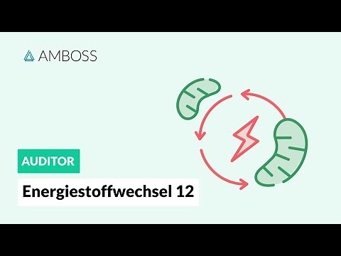 Energiestoffwechsel Teil 12 -- Ketonkörperstoffwechsel -- AMBOSS Auditor