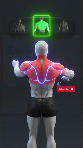 💥BEST TRAP WORKOUT FOR A THICK AND POWERFUL BACK💥