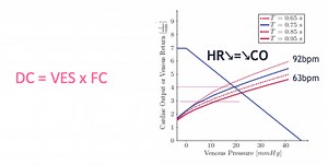 Les traitements cardiologiques - Réseau Amylose