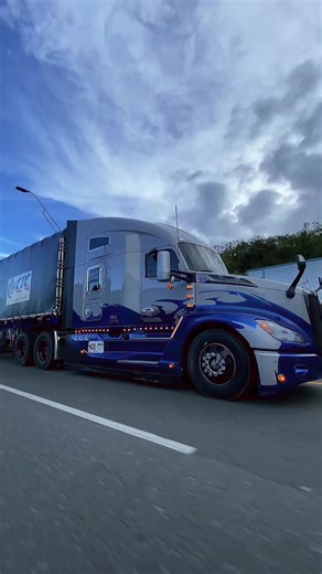 Videos de puri (@userpuritruck) con “The Bad Touch - Bloodhound Gang”