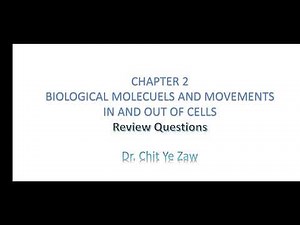 Grade 11 Biology, Chapter 2, Review Questions