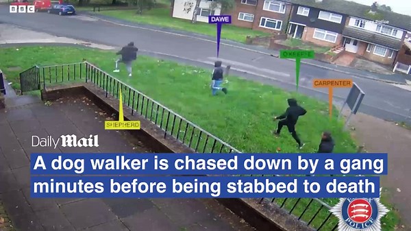 Moment dog walker is chased by gang before being stabbed to death
