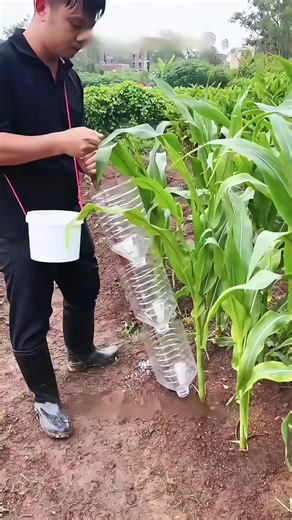 Essential Life Tips for Everyday Success