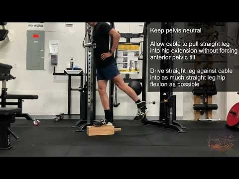 Standing Straight Leg Hip Flexion (Cable Machine)