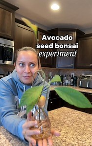 633K views · 5.7K reactions | I have so much fun trying different...