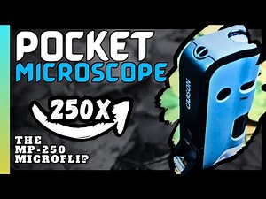 250x Microscope | Carson MicroFlip™ | Review