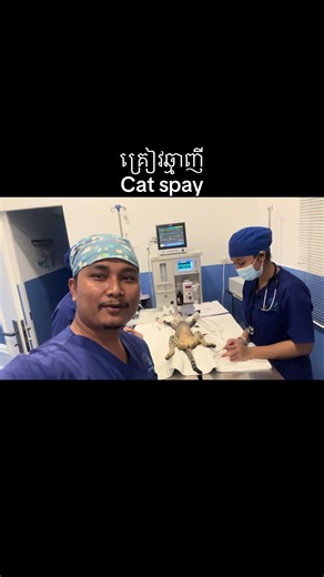 វីដេអូ​របស់ Cambovet Veterinary Clinic (@cambovet) ជាមួយ original sound - Cambovet Veterinary Clinic