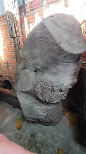 Red sandalwood (Gmelina arborea) - leftover wood from local people, approximately over 200kg.