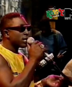 Chaka Demus and Pliers 🔥🔥🇯🇲🇯🇲#follow #dancehall #fyp #reggae #jamaica #dance #singing | DJDancerider