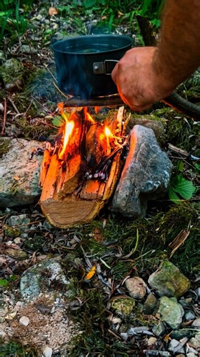 Primitive Bushcraft Hack Wooden Campfire Stand Build 🌲🔥