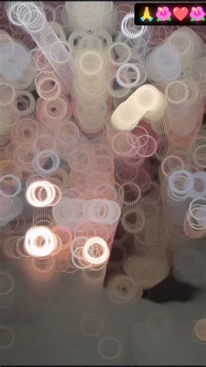 Joy maa 🙏💞🌺🌺 | Purnima ß