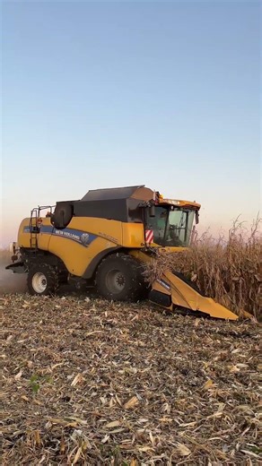 Kukurica New Holland CX8070