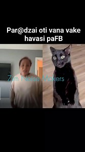 Hoyoo Par@dzai | Zim Noise Makers