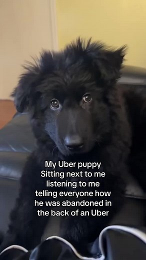 Dealing with Lies: Unraveling the Truth