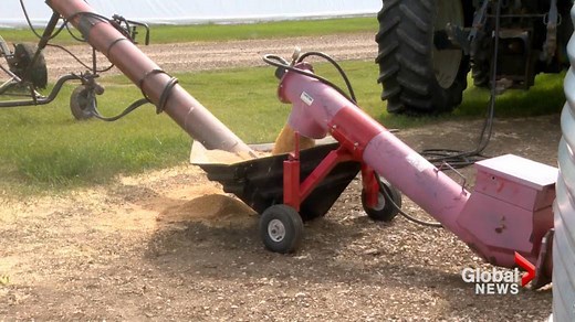Farmers see cost of fertilizer jump as grain prices rise