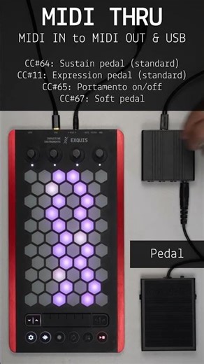 🇬🇧 Exquis keyboard (2.2.0) - Connecting a sustain/expression pedal (MIDI THRU)