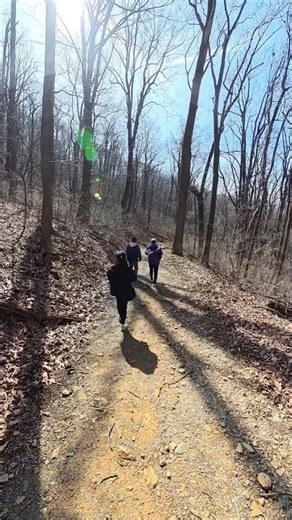 The hike continues at the Shenandoah National Park #hike #travel #adventure #gracefulvibesvlogs