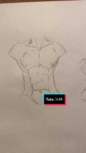 Drawing Tutorial: Abs Sketching