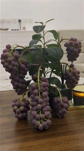 Small Grapevine, Big Harvest! 🍇✨