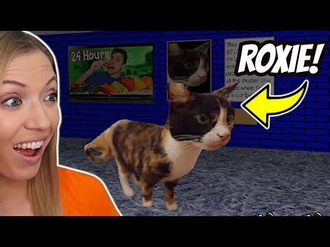 My Cat IS IN This Baldi Mod!