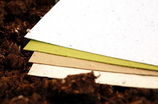 Seed Paper & Biodegradable Confetti | Botanical PaperWorks