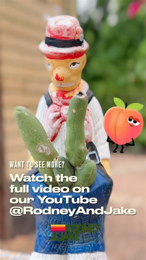 Rodney & Jake | DIY Home & BnB on Instagram: "Happy #WorldNakedGardeningDay! We’re celebrating the first Saturday of May with a very special garden tour! Full video available now on our YouTube channel & Patreon https://www.patreon.com/RodneyAndJake #gardening #wngd #wngd2025 #wngd25"